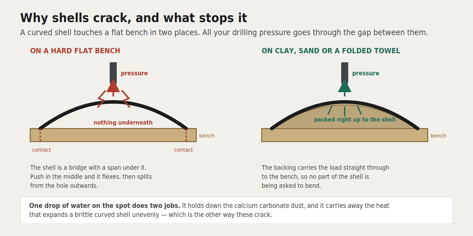A curved shell on a flat bench touching at two points with a gap beneath, beside the same shell bedded into clay so the backing carries the drilling pressure